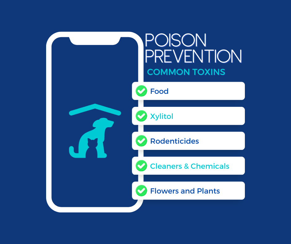 Pet Poison Prevention Month - Old Dominion Animal Hospital