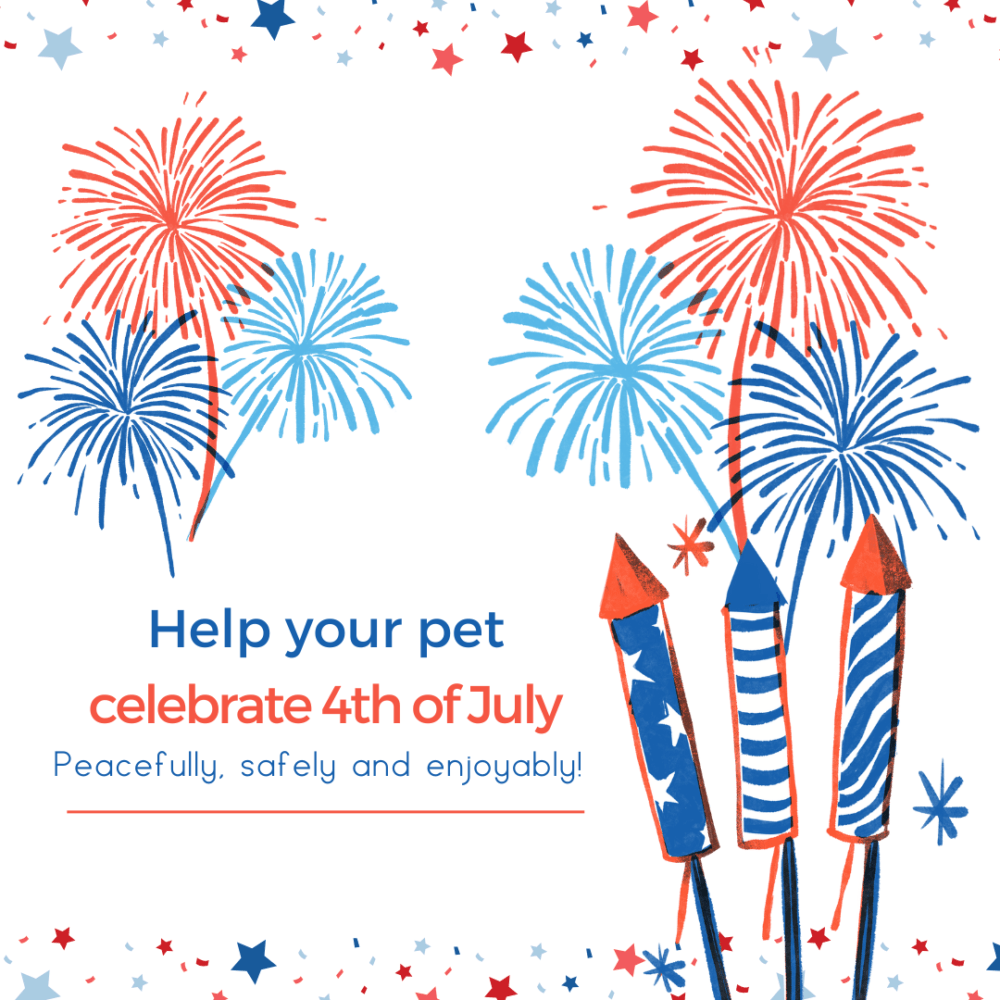 Firework safety and precautions for your pet - Old Dominion Animal Hospital